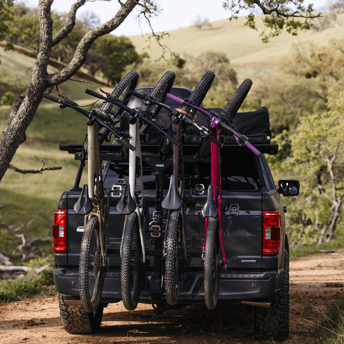 Support pour vélos Vertical ReVert - Thule