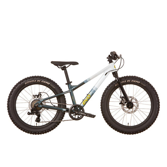 Vélo Cadet 20 - Evo