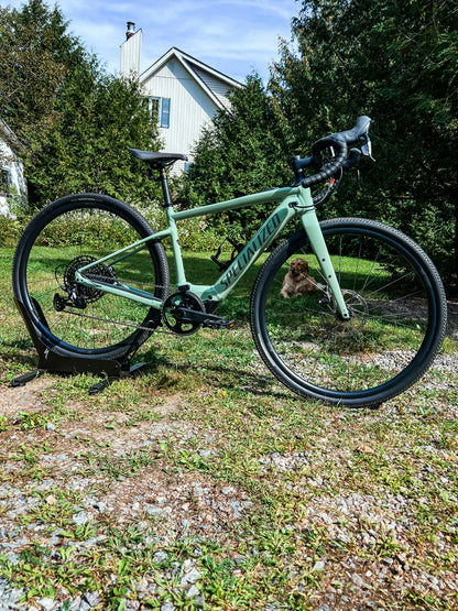 Vélo Location Turbo Creo 2 Comp E5 Gloss Pistachio 52 - Specialized