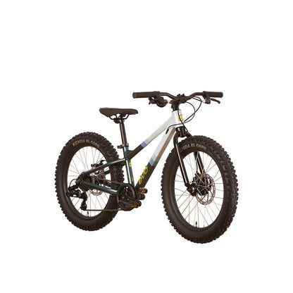 Vélo Cadet 20 - Evo