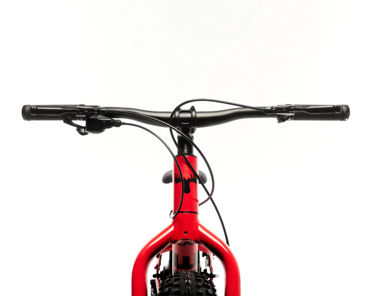 Fat Bike Fat Moose 24" - Moose Bicycle