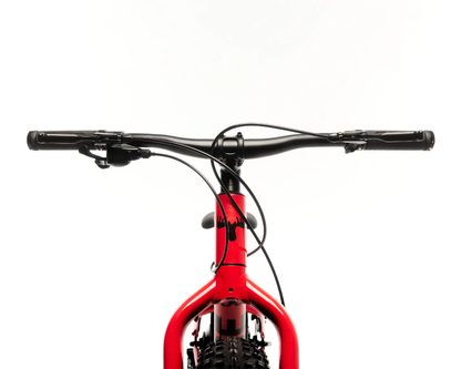 Fat Bike Fat Moose 24" - Moose Bicycle