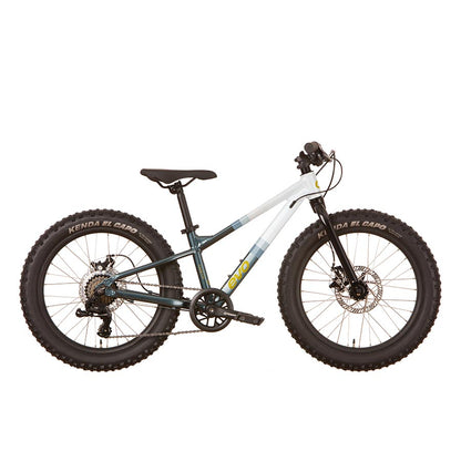 Vélo Cadet 20 - Evo